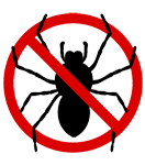 SF Bay Area Spider Pest Control